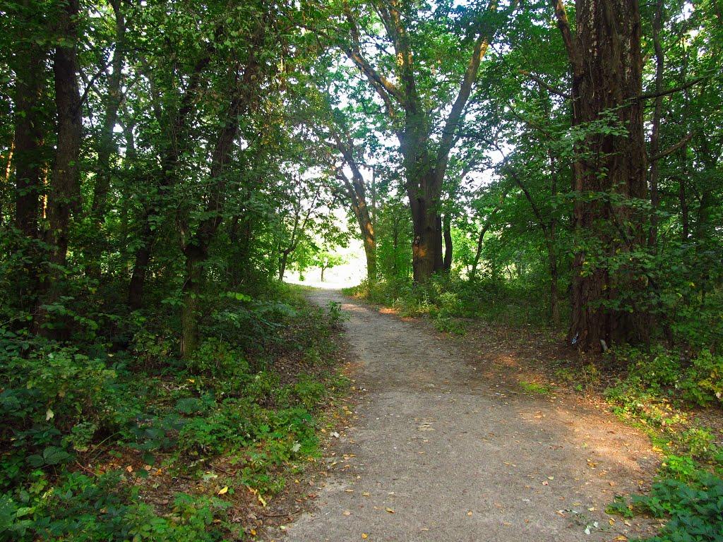 Райгородок з panoramio.com - Райгородок