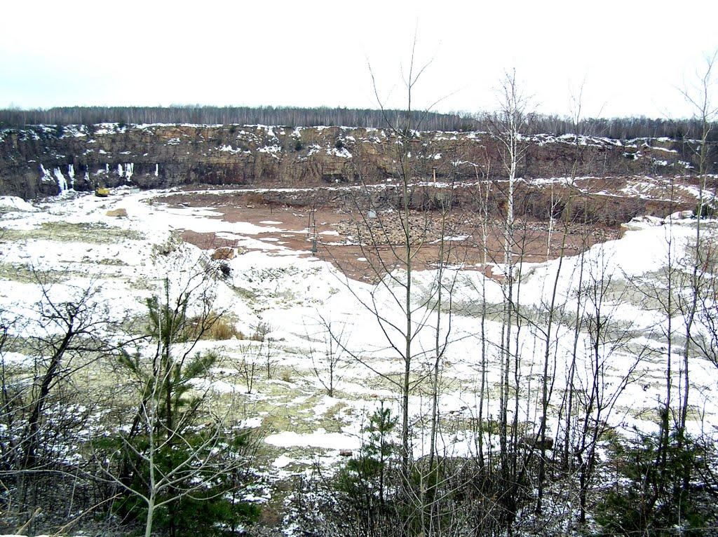 Щорсівка з panoramio.com - Білошиці