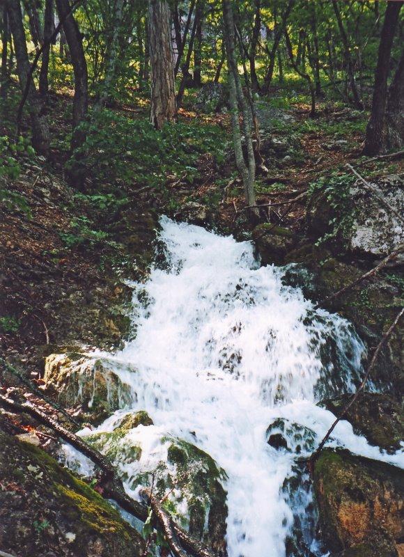 Виноградне з panoramio.com - Виноградное