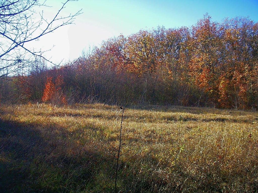 Верхоріччя з panoramio.com - Верхоречье