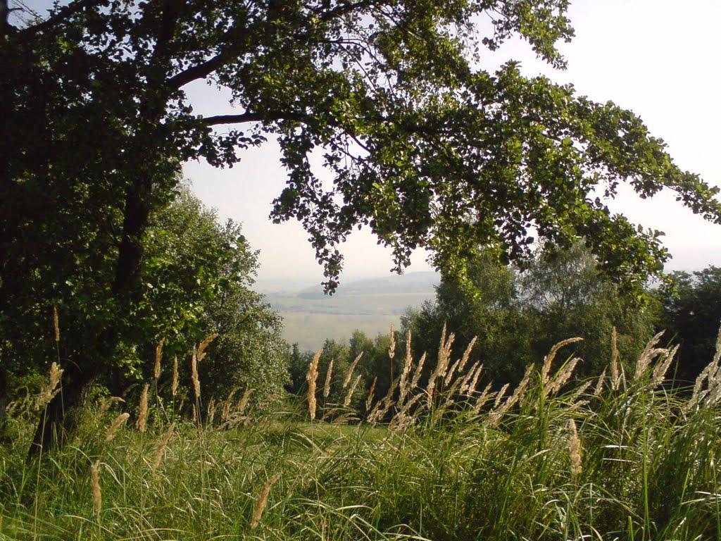 Костинці з panoramio.com - Костинці