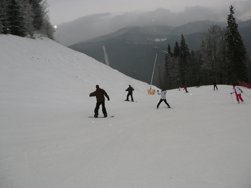 Паляниця з panoramio.com (ч.4) - Palyanytsya