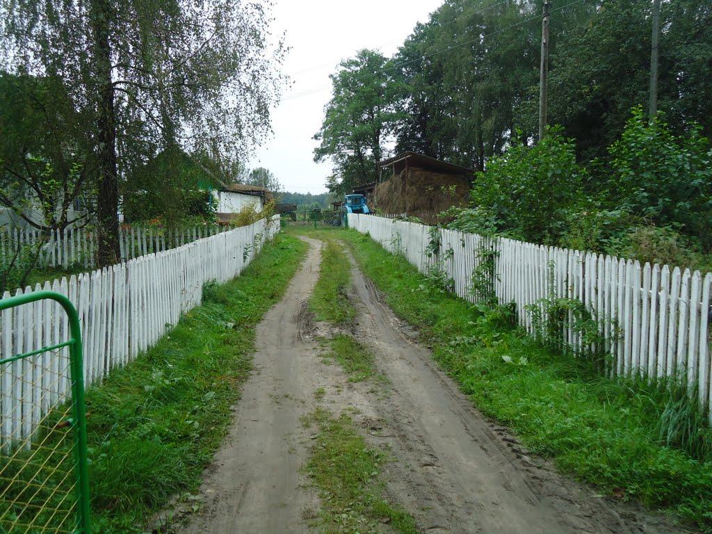 Шубків з panoramio.com - Шубків