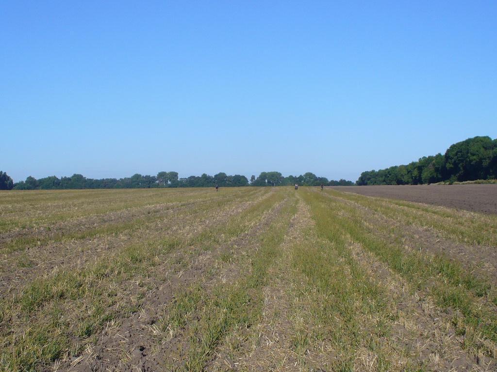 Фастів з panoramio.com (ч.2) - Fastiv
