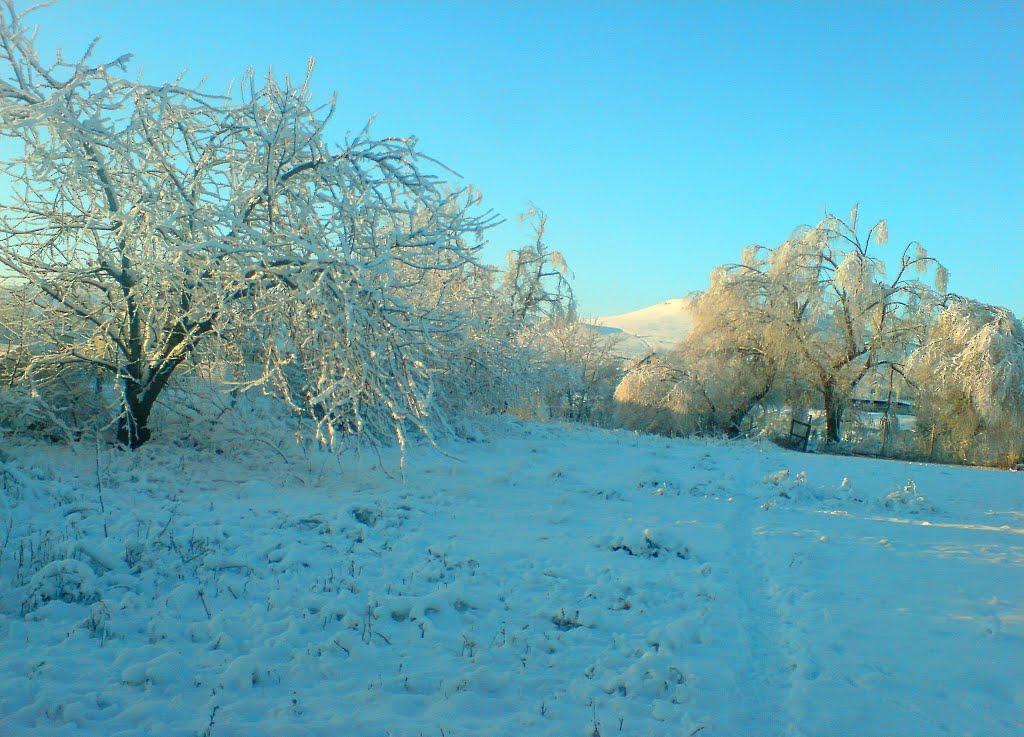 Балки з panoramio.com - Балки