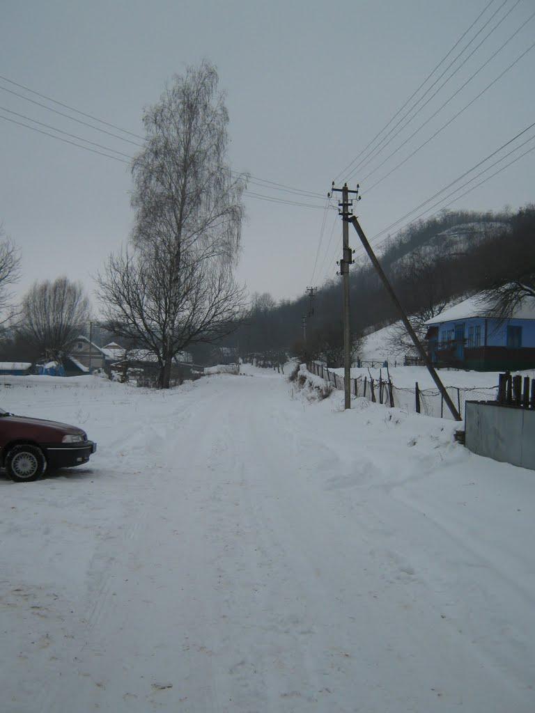 Чорний Потік з panoramio.com - Чорний Потік