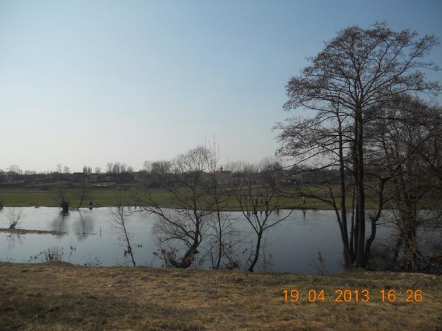 Щорсівка з panoramio.com - Білошиці