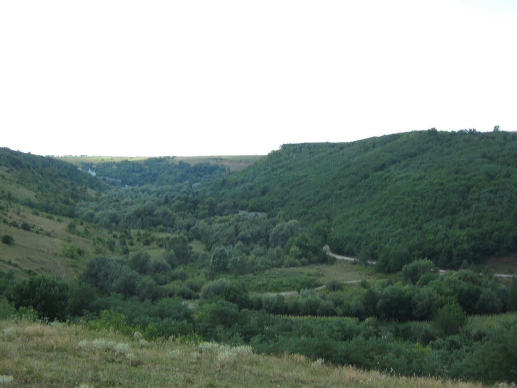 Онут з panoramio.com - Онут