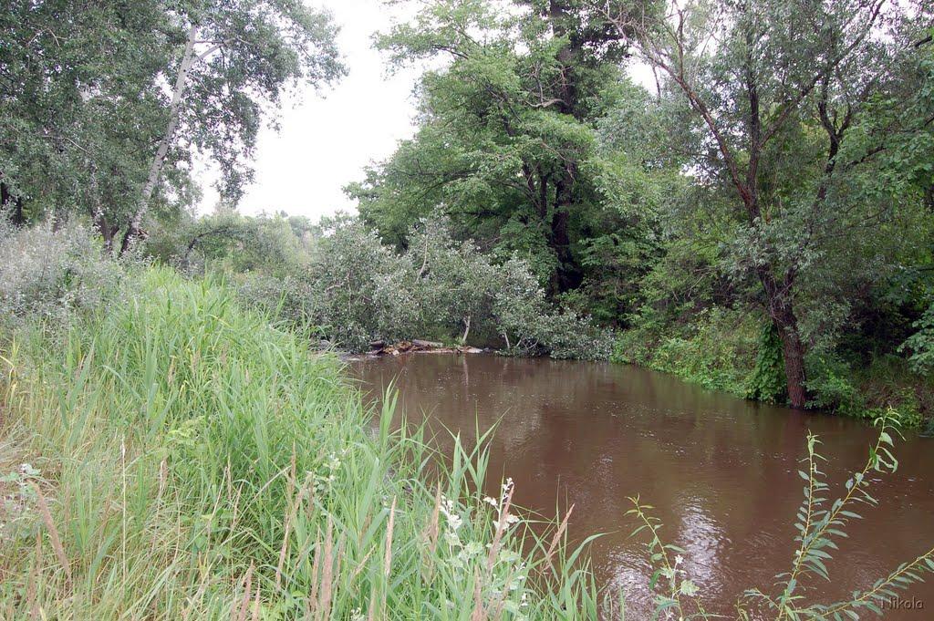 Сєверодонецьк з panoramio.com (ч.3) - Сєверодонецьк
