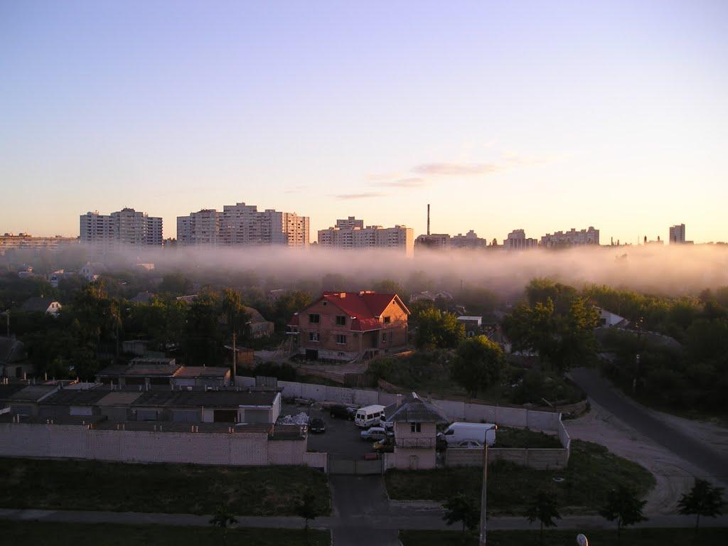 Коцюбинське з panoramio.com (ч.3) - Коцюбинское