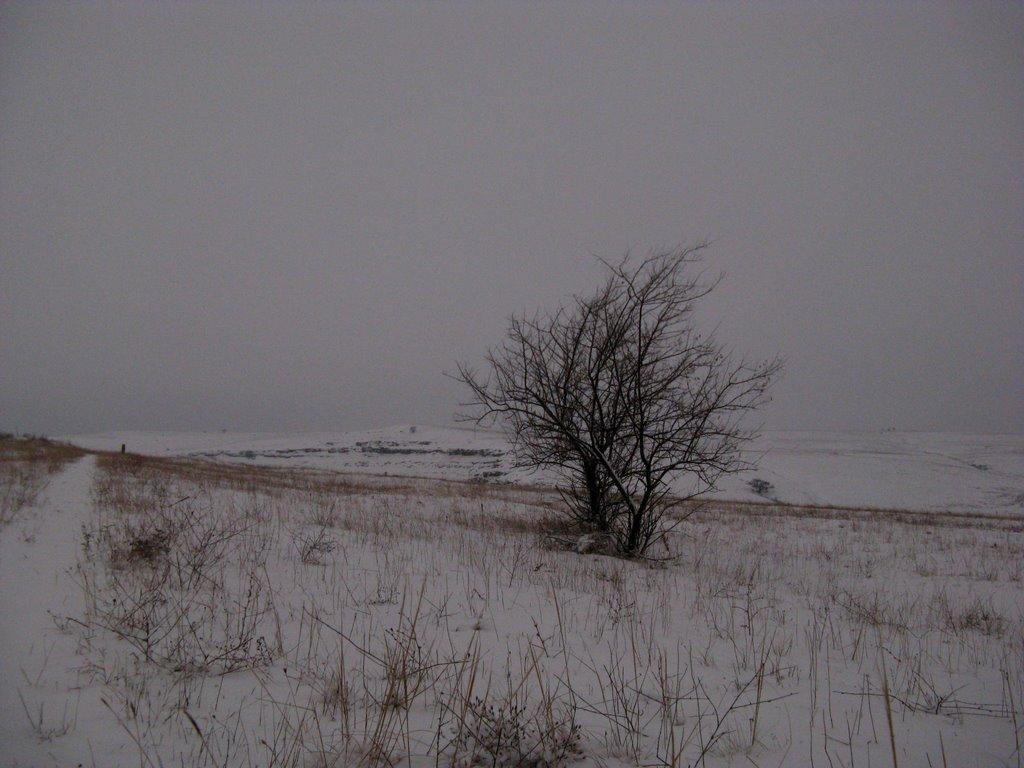 Шкільне з panoramio.com - Школьное