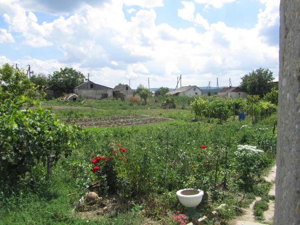 Балки з panoramio.com - Балки