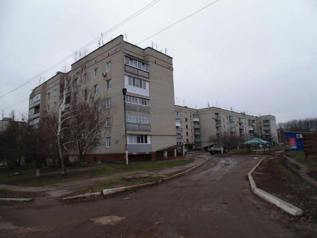 Валки з panoramio.com - Valky