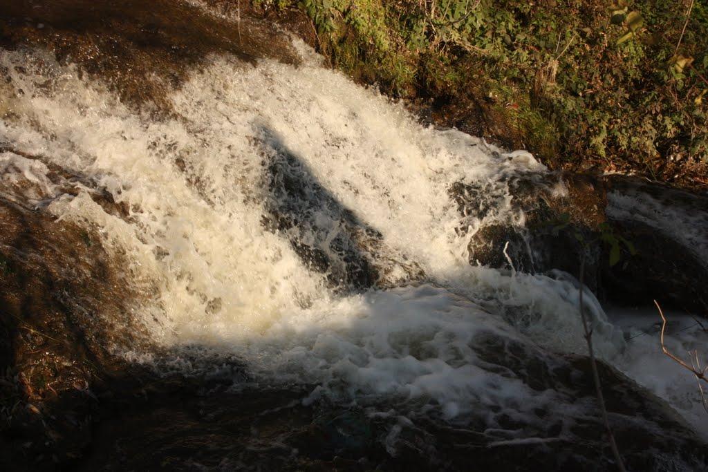 Чорний Потік з panoramio.com - Чорний Потік