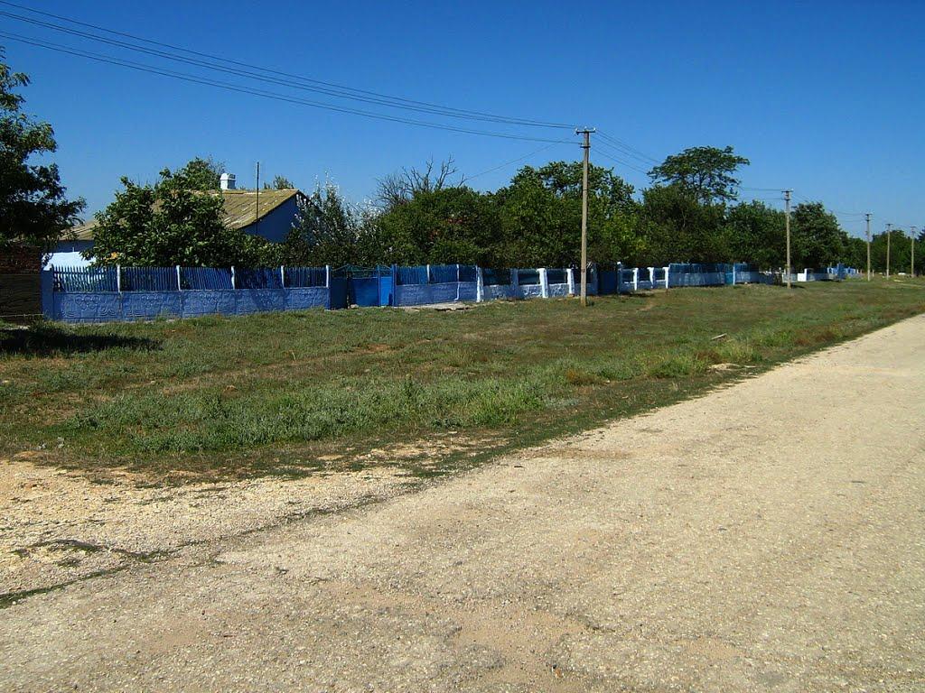 Шишкине з panoramio.com - Шишкине