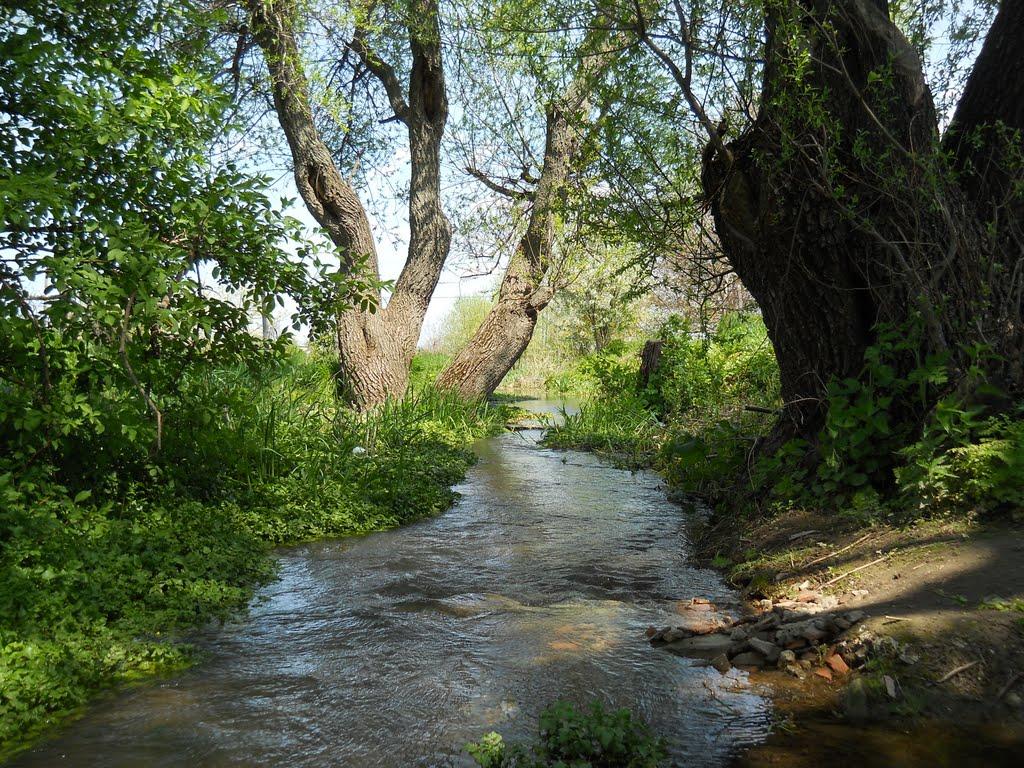 Балки з panoramio.com - Балки