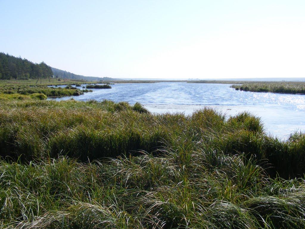 Ренів з panoramio.com - Ренів