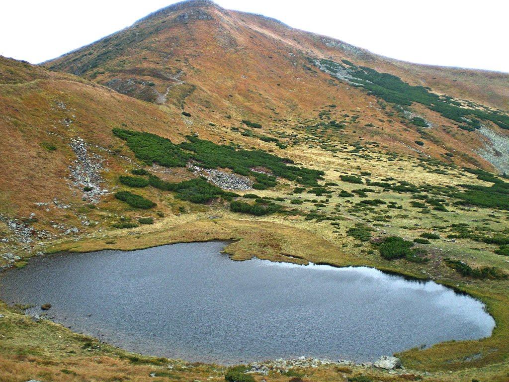 Говерла з panoramio.com (ч.2) - Говерла