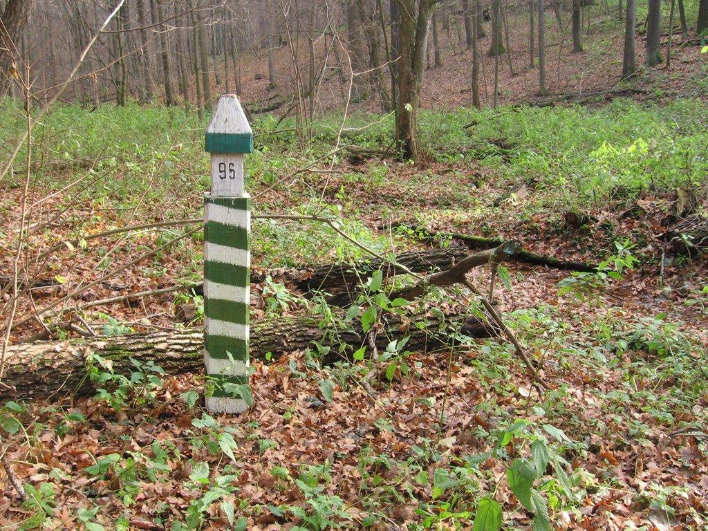 Микільське з panoramio.com - Никольское