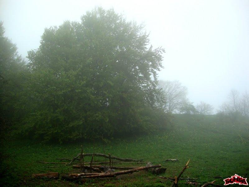 Генеральське з panoramio.com (ч.3) - Generalske