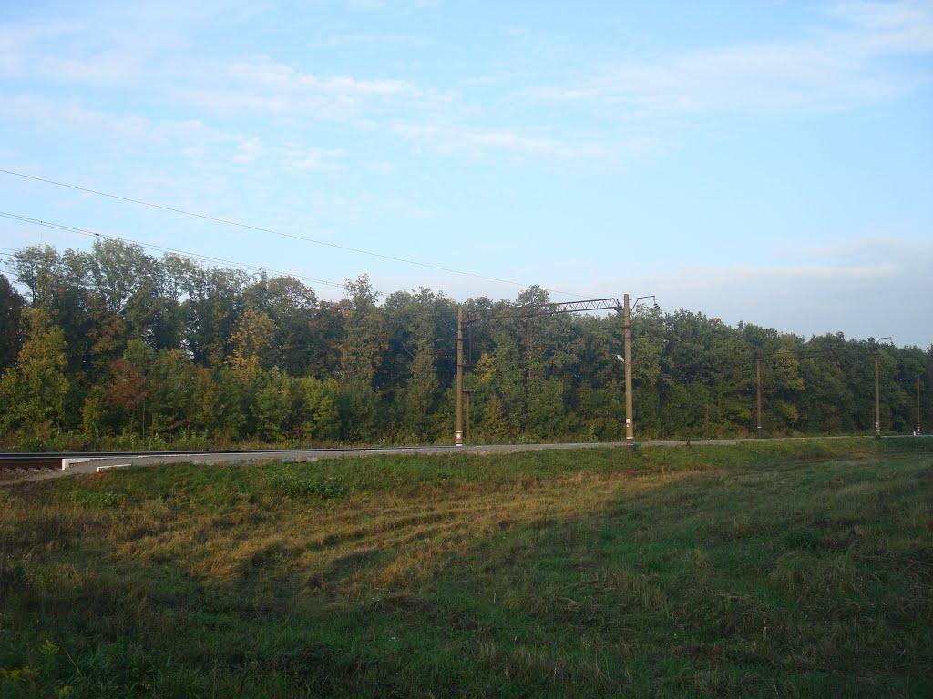 Колом'є з panoramio.com - Колом'є