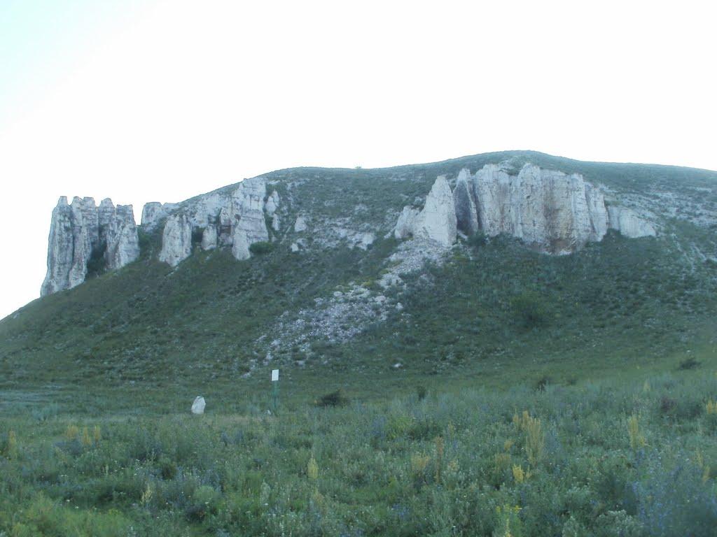 Білокузьминівка з panoramio.com - Білокузьминівка