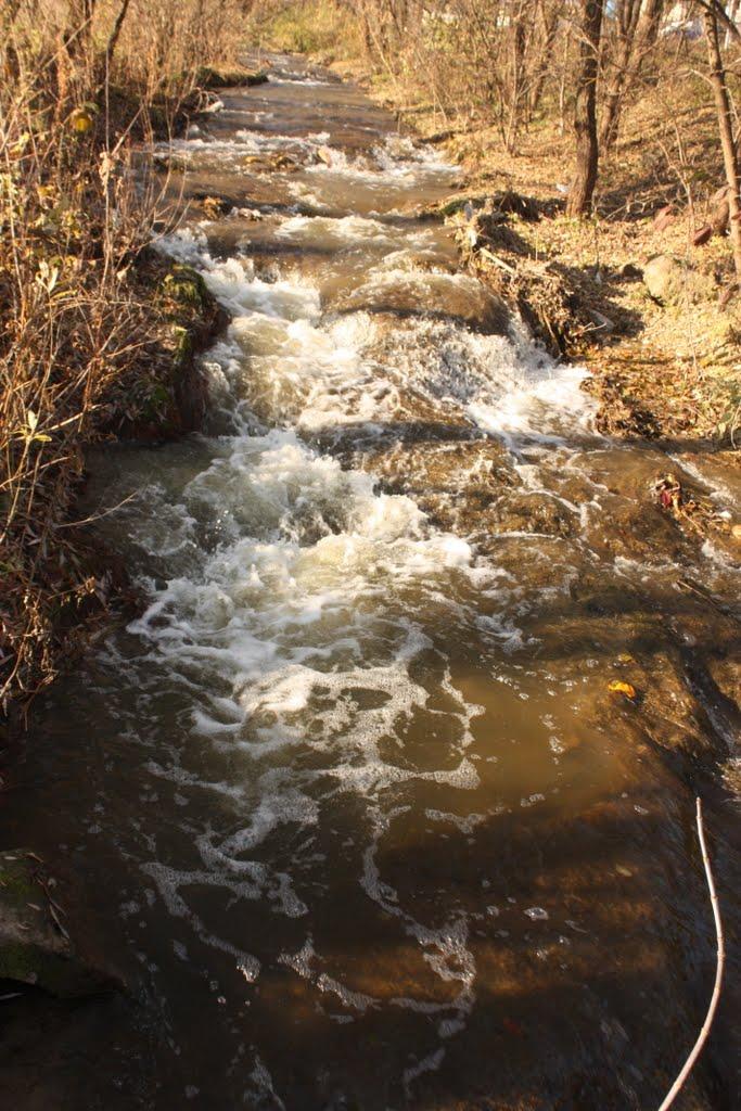 Чорний Потік з panoramio.com - Чорний Потік