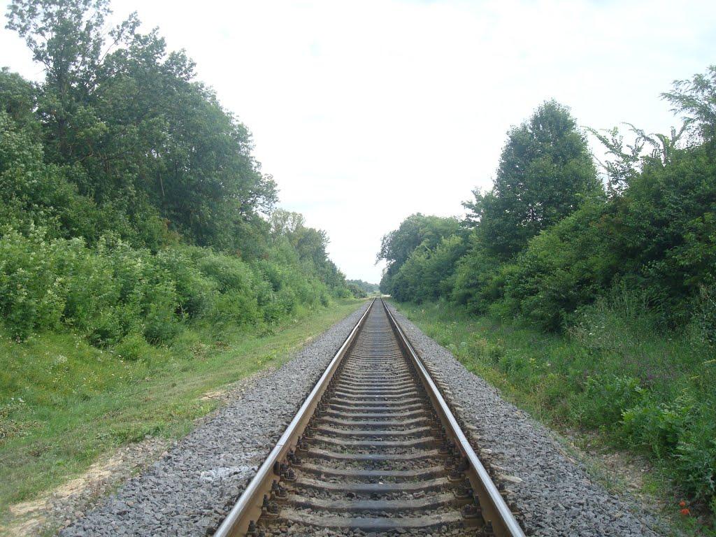 Слобідка-Гуменецька з panoramio.com