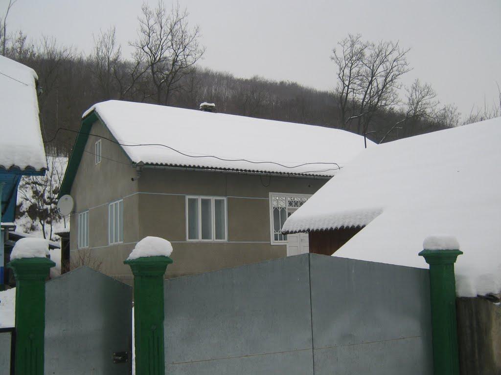 Чорний Потік з panoramio.com - Чорний Потік