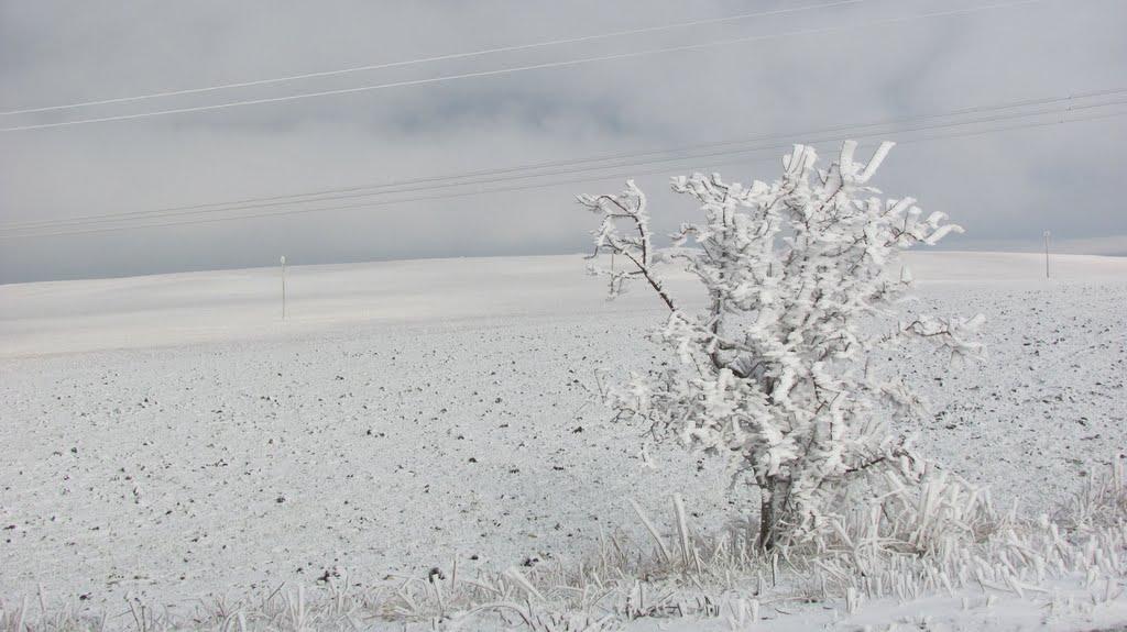 Балки з panoramio.com - Балки