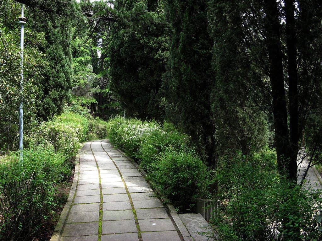Сімеїз з panoramio.com (ч.2) - Симеиз