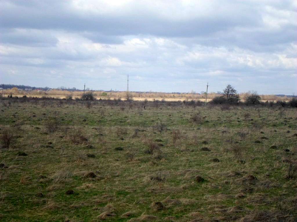 краєвид - Rozgirche