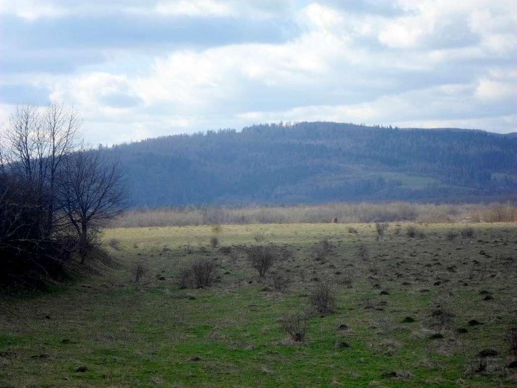 краєвид - Розгирче