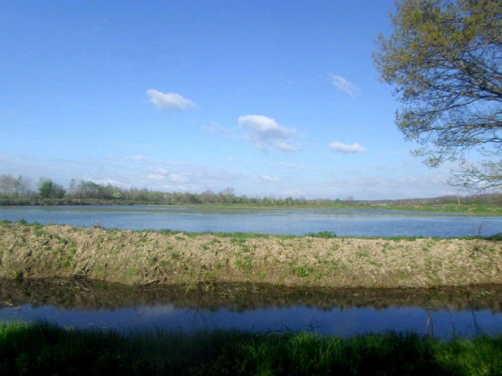 Рибгосп - Лани Соколівські