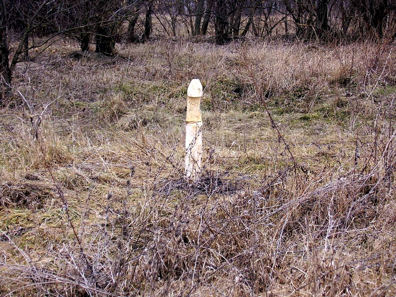 Велика Лука