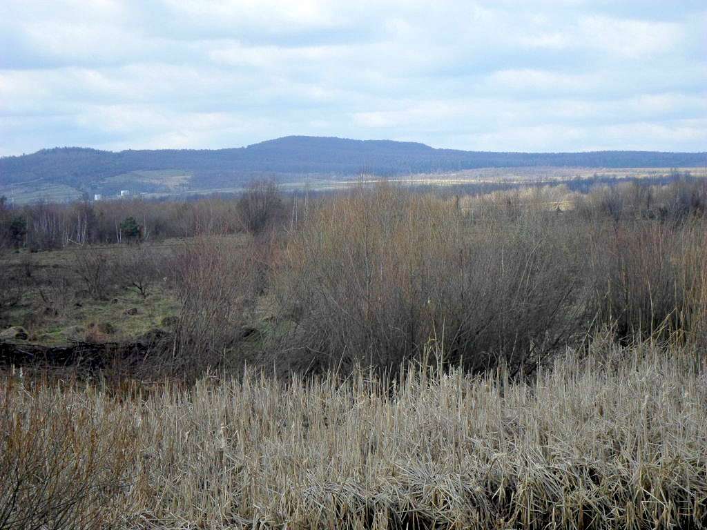 краєвид - Розгирче