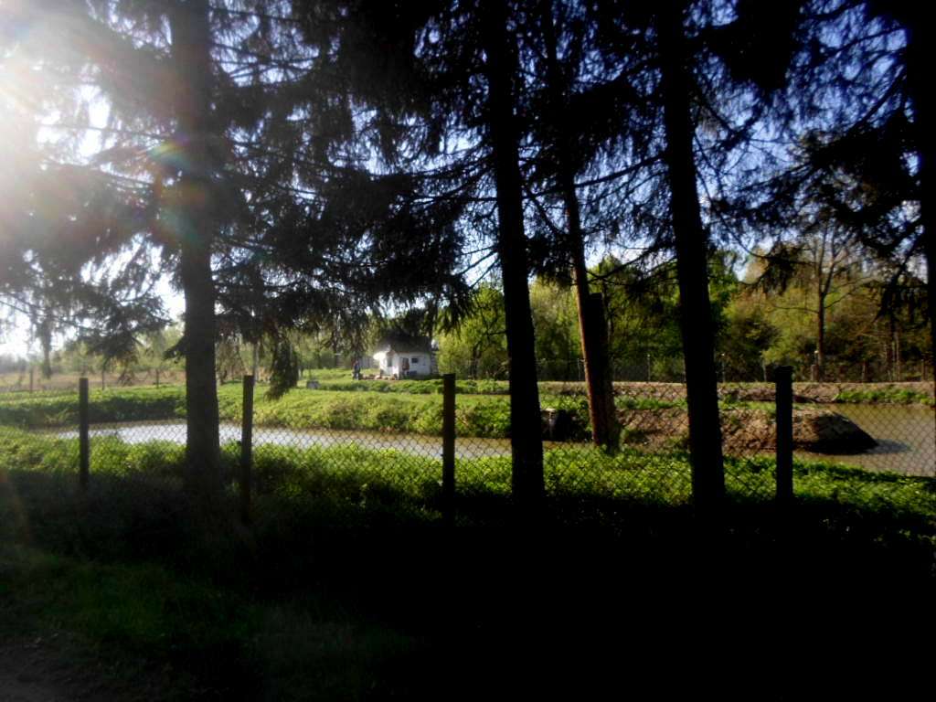 Рибгосп - Лани Соколівські