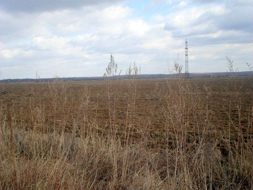 краєвид - Zhulyn