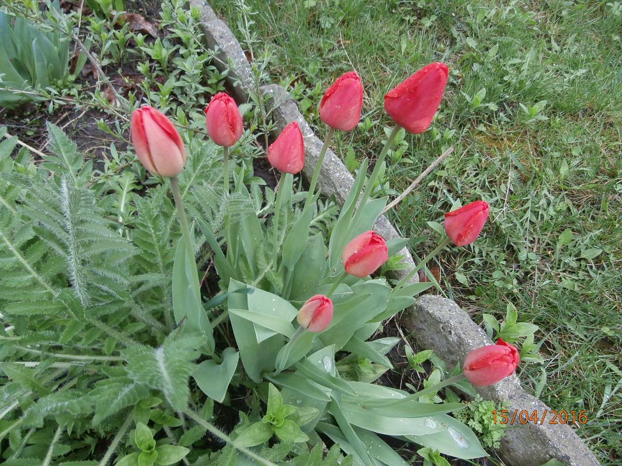 різне - Юрківка