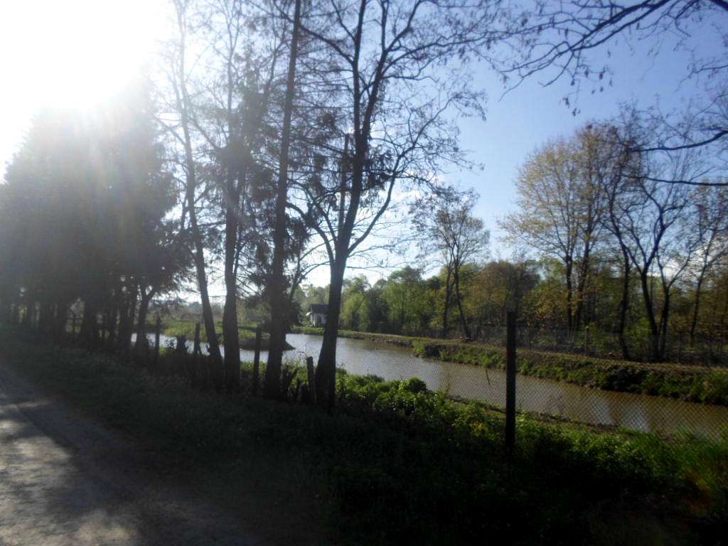 Рибгосп - Лани Соколівські