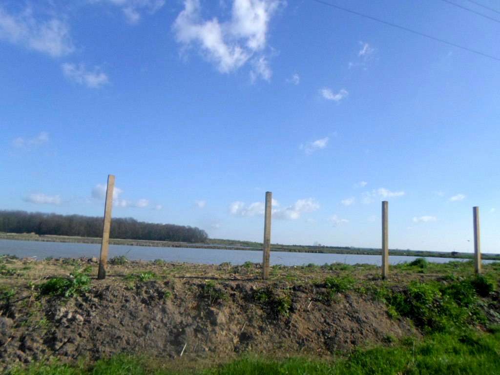 Рибгосп - Лани Соколівські