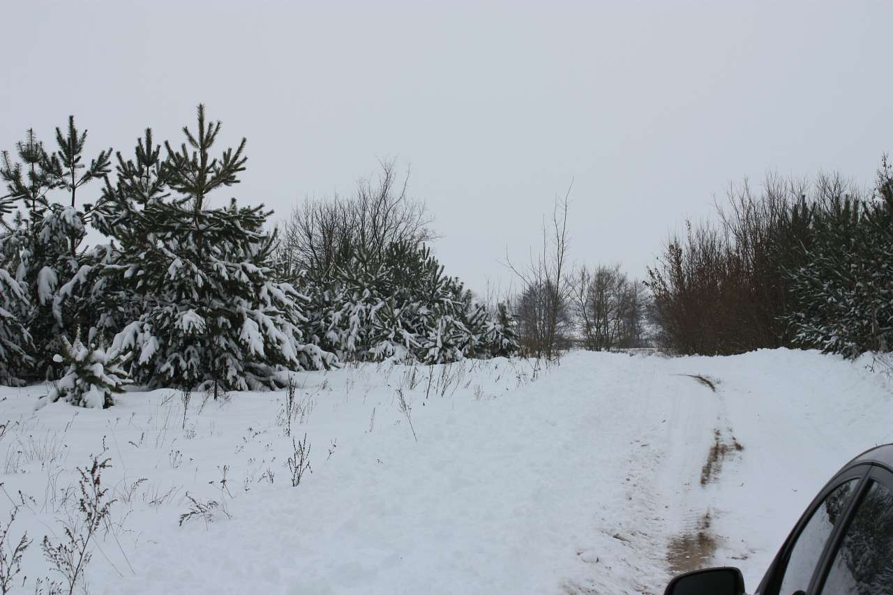 Велика Лука - Велика Лука