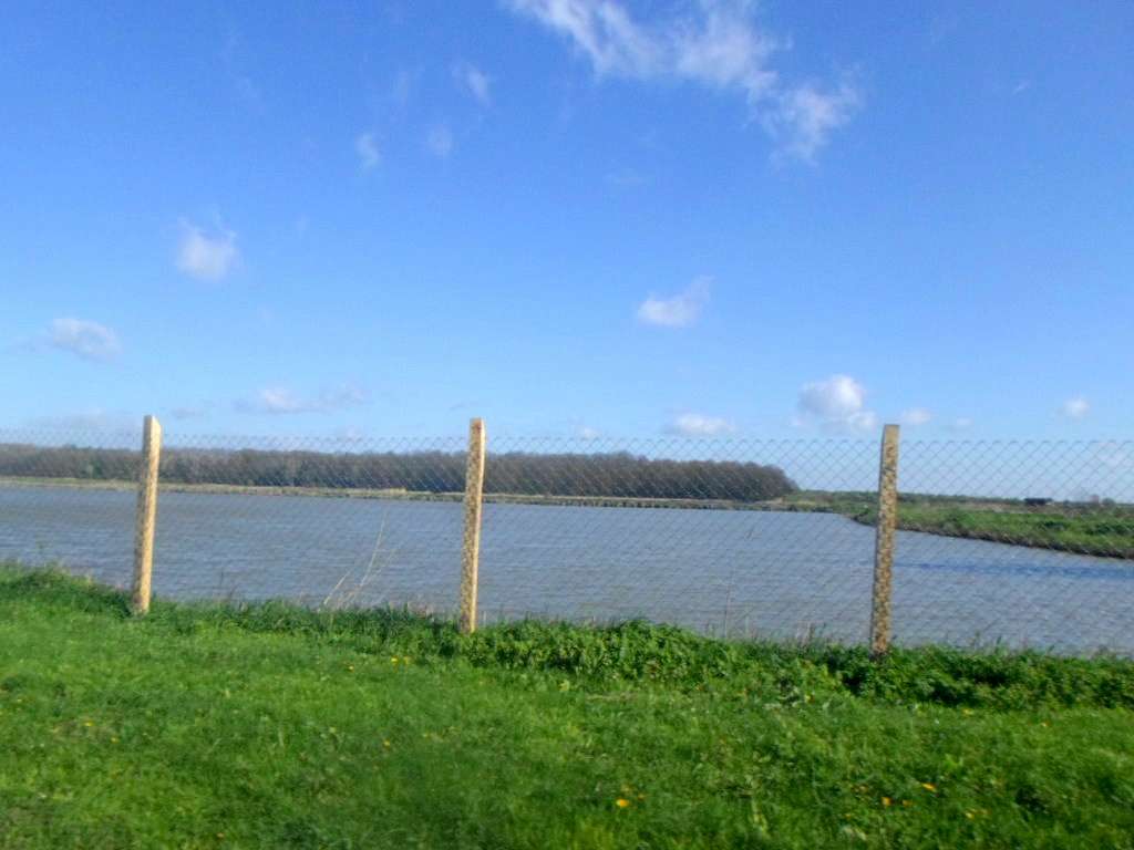 Рибгосп - Лани Соколівські