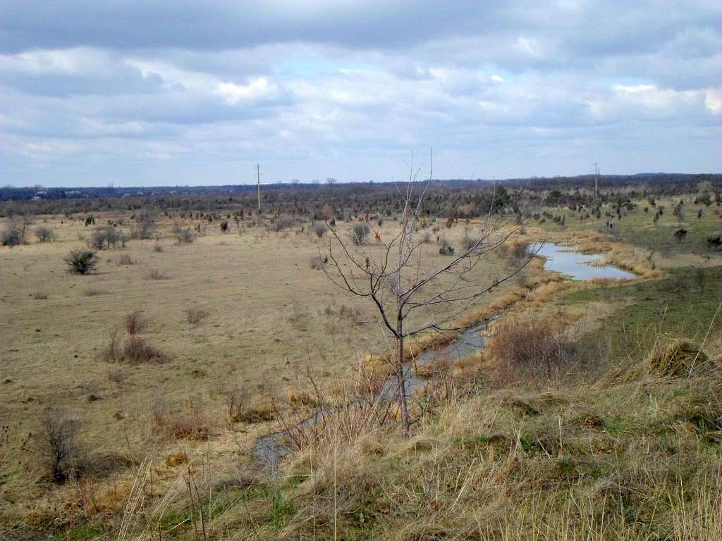 краєвид - Rozgirche