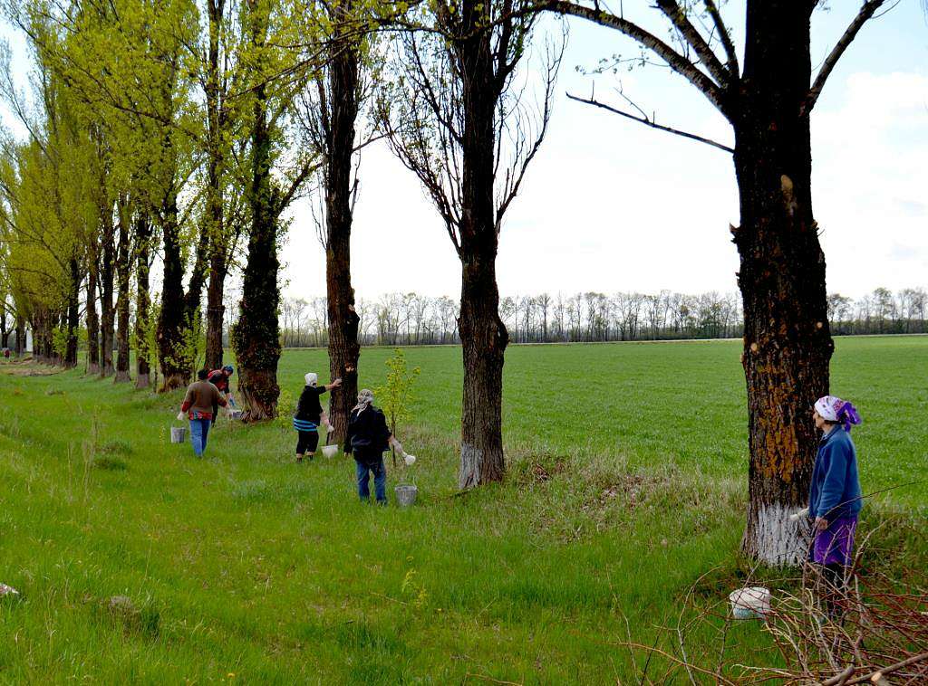 Кавунівка - Кавунівка