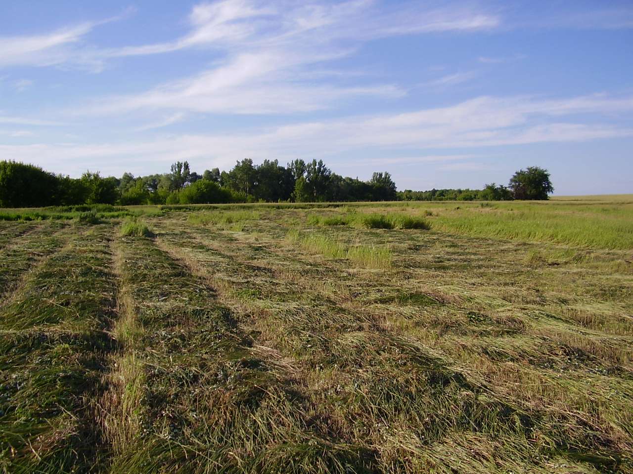 Велика Лука - Велика Лука