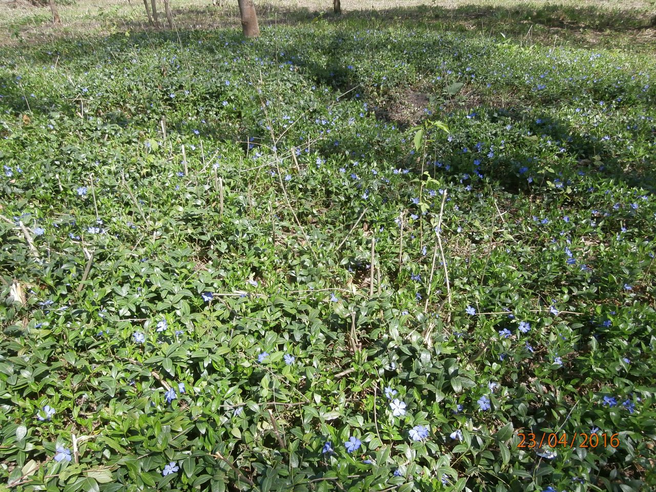 різне - Юрківка