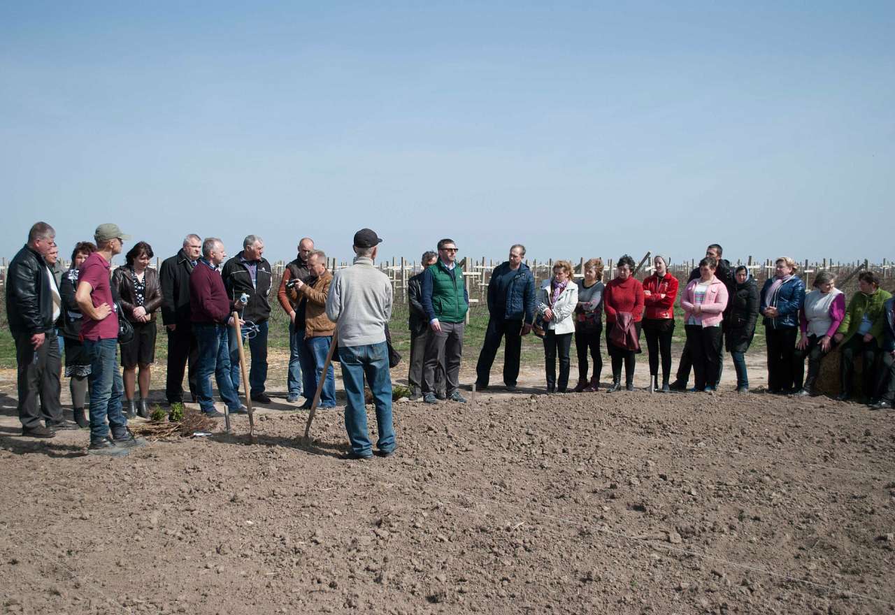 Сільське господарство - Снитков