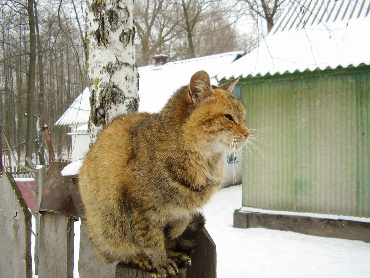 Велика Лука - Великая Лука