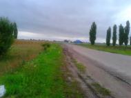 Борзна з panoramio.com